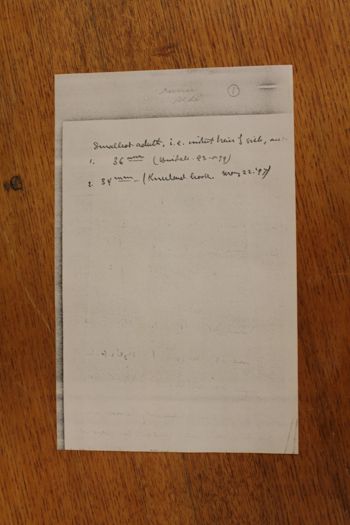 Media type: image;   Special Collections 4350 shows cataloged_item 4351 shows cataloged_item 4352 shows cataloged_item 4353 shows cataloged_item 4354 shows cataloged_item 4355 shows cataloged_item 4356 shows cataloged_item 4357 shows cataloged_item 4358 shows cataloged_item 4359 shows cataloged_item 4360 shows cataloged_item 4361 shows cataloged_item 4362 shows cataloged_item 4363 Description: Documentation photo of Wilder folder/label B2;
